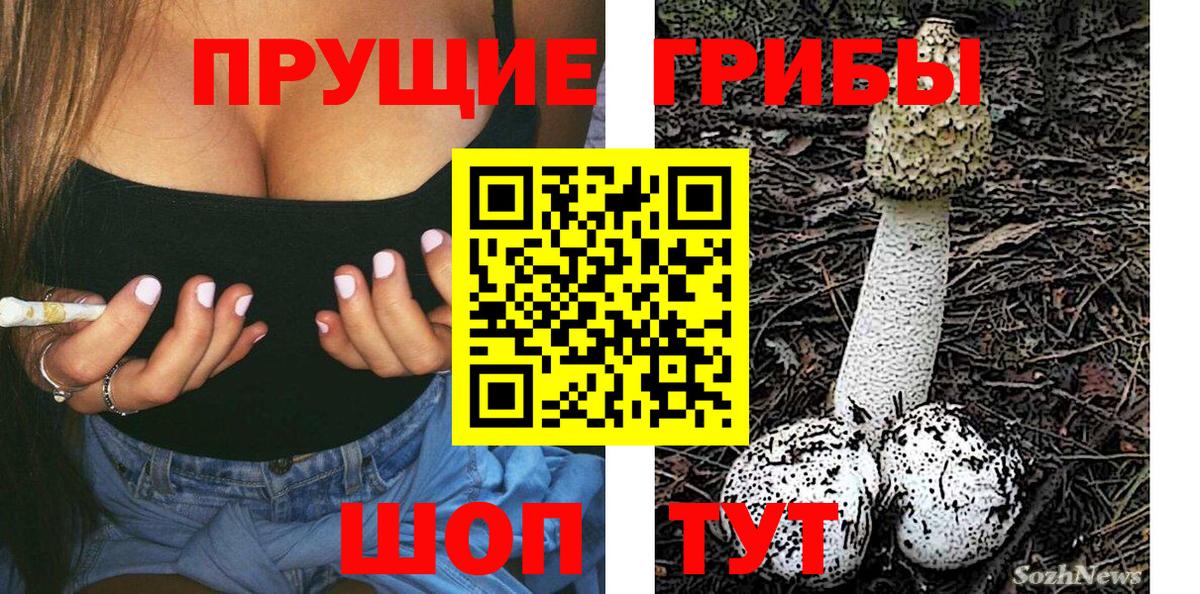 Псилоцибиновые грибы Psilocybe Ефремов